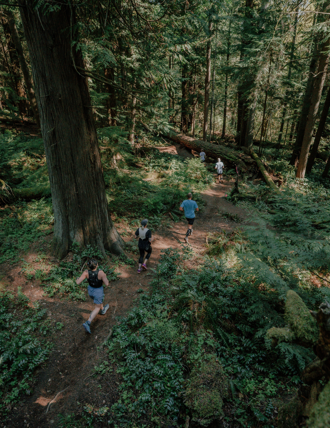 trail runners running through the forest